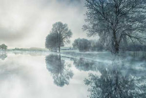 Natuur